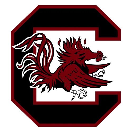 South Carolina Gamecocks